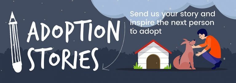 Adoption Stories