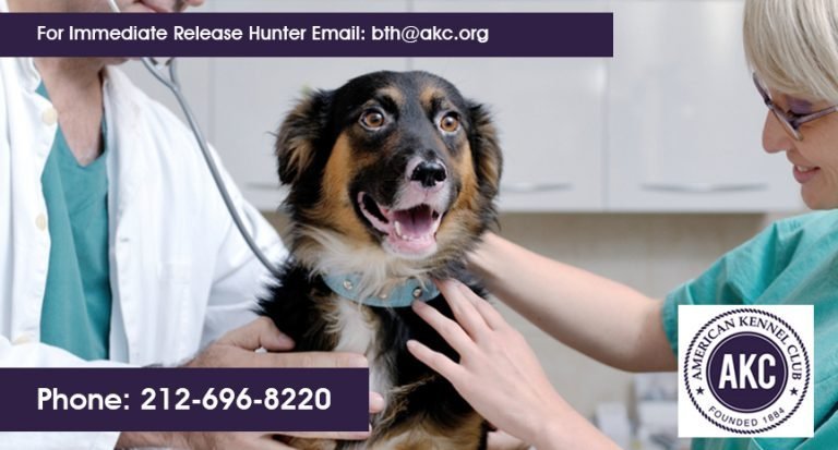 AKC Offers Test That Gives Dog Owners and Breeders the Power of Early Cancer Detection
