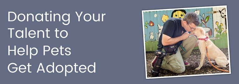 Donating Your Talent to Help Pets Get Adopted