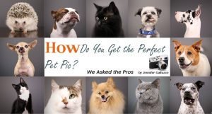 How Do You Get the Perfect Pet Pic