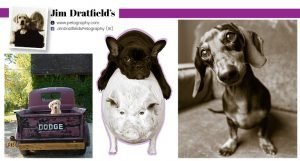 Jim Dratfield’s Petography®