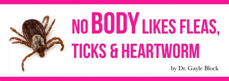 No Body Likes Fleas, Ticks & Heartworm