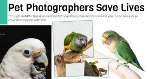 Pet Photographers Save Lives