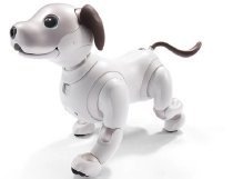Pet Tech News