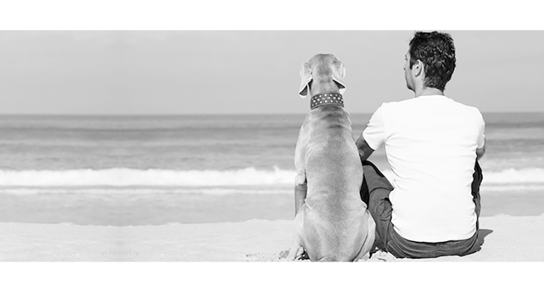 Vacations & Pets