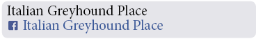 Adoption-Center-WC27