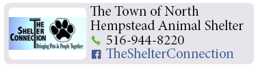 Adoption-Center-LI80