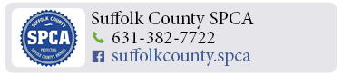 Adoption-Center-LI42