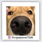 boopmynose