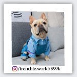 frenchie.world