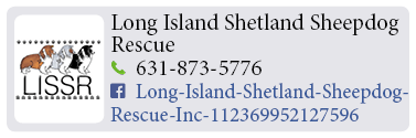 Adoption-Center-LI99