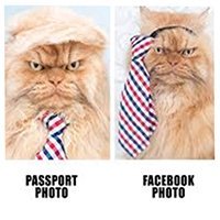 meetgarfi