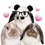 Fabbunnies
