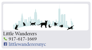 Adoption-Center-NYC29 (1)