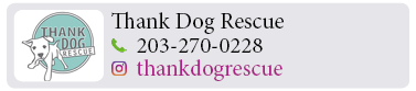 Adoption-Center-FF24