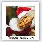 super_pringle