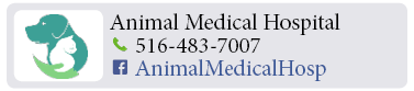 Adoption-Center-LI43