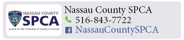 Adoption-Center-LI39