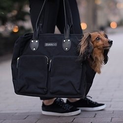 The DJANGO Pet Tote