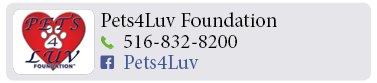Adoption-Center-LI110