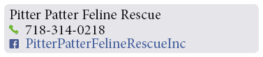 Adoption-Center-FF40