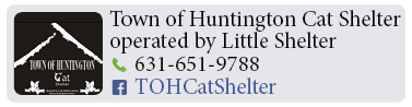 Adoption-Center-LI21