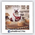 barkbox