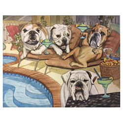 Pet Portrait Fun