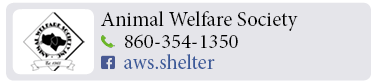Adoption-Center-FF21