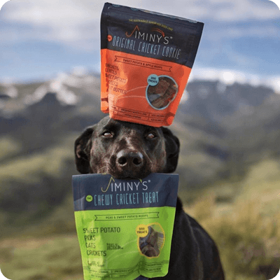 Jiminy’s Sustainable Dog Treats