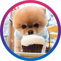 jiffpom