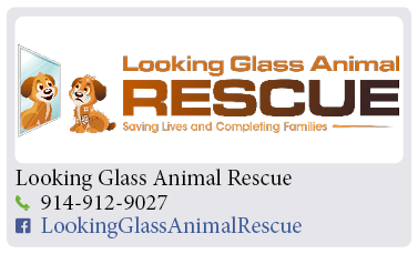 Adoption-Center-FF30