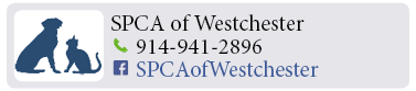 Adoption-Center-WC14