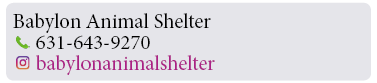 Adoption-Center-LI
