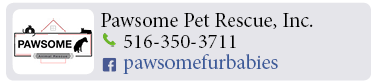 Adoption-Center-LI6