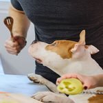 NHV Natural Pet Products