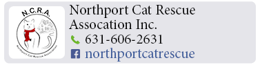 Adoption-Center-LI20 (1)