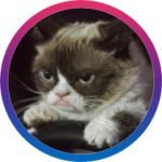 tardthegrumpycat-150x150