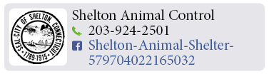 Adoption-Center-FF32