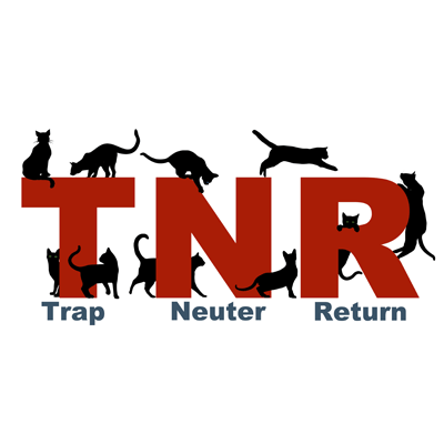 Feral Cats Health