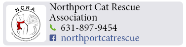 Adoption-Center-LI68