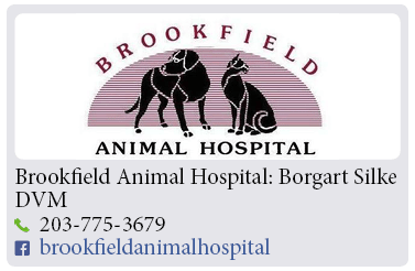 Adoption-Center-FF6