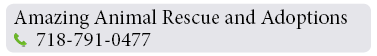 Adoption-Center-LI112
