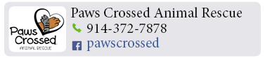 Adoption-Center-WC29