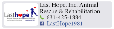 Adoption-Center-LI106