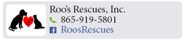 Adoption-Center-FF31