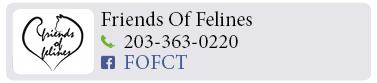 Adoption-Center-FF44