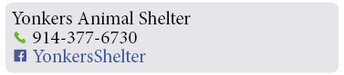 Adoption-Center-WC72