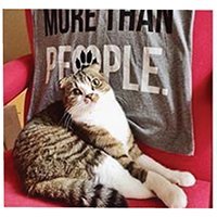 macchacat