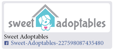 Adoption-Center-FF55